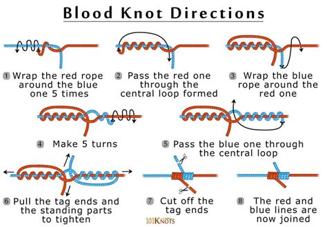 Animation shows how to tie the Blood Knot for Fishing. From the world's #1 knot site - Animated Knots by GrogIPHONE APP: http://bit.ly/SeY9S7 | ANDROID APP: ...